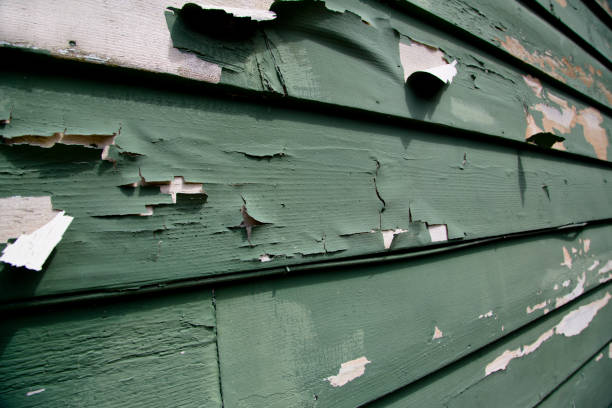 Best Construction Debris Removal  in Lawrenceburg, KY